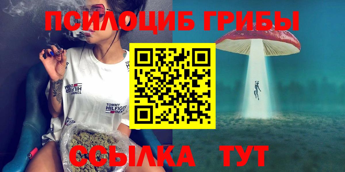 Галлюциногенные грибы мицелий Тайшет